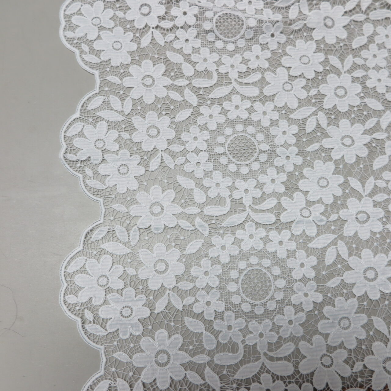 French Floral Striped Double Scalloped Alencon Lace - Ivory – Fabrics &  Fabrics